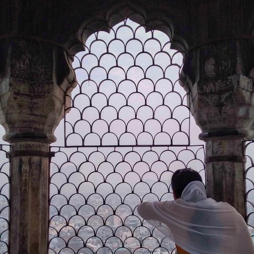 Photo #4568558