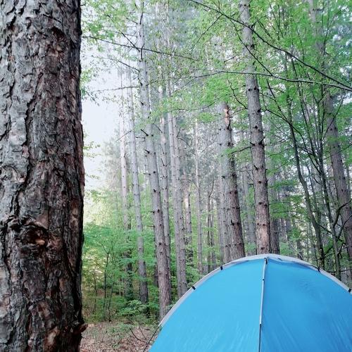 Photo #4569291