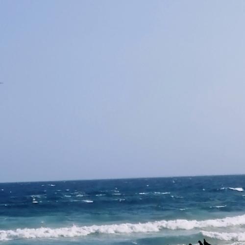 Palomas viendo el mar