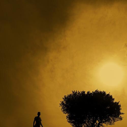 Photo #4570243