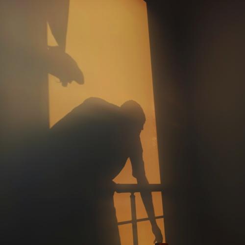 Photo #4570290