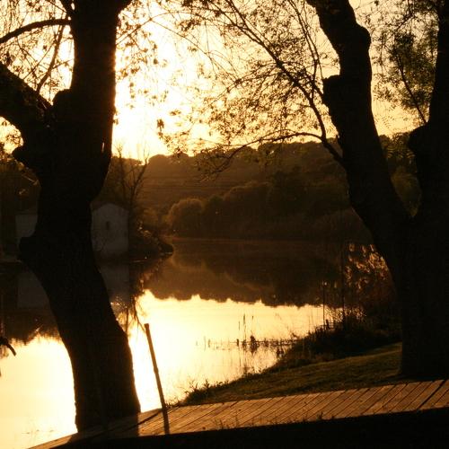 Photo #4570630