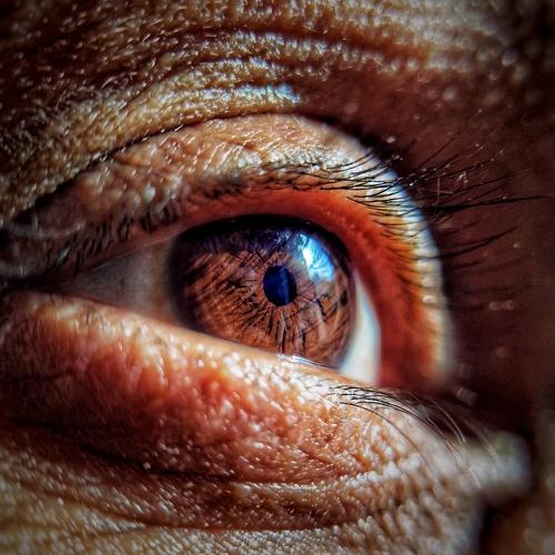 Photo #4571046