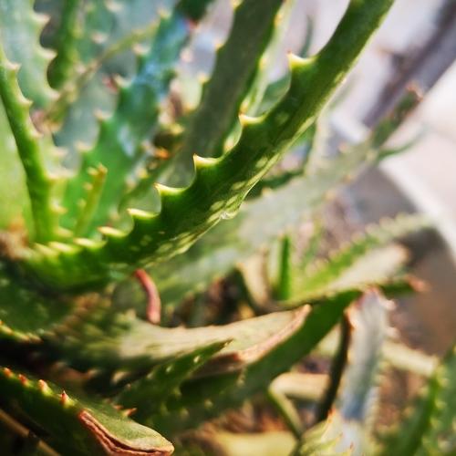 Photo #4571247