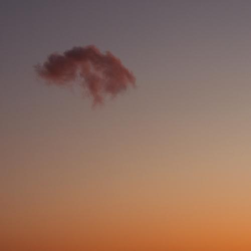 Photo #4571659