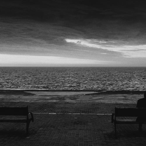 Photo #4571665