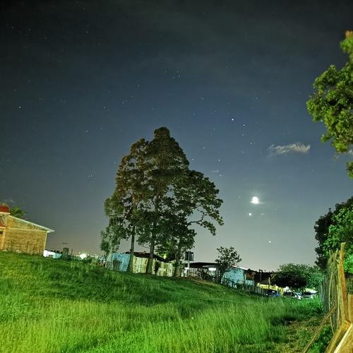 Photo #4572247