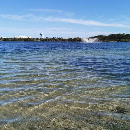 Photo #4572334