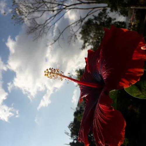 Photo #4572712