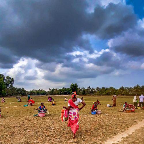 Photo #4572729
