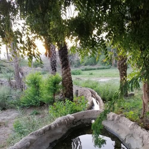 Photo #4572736