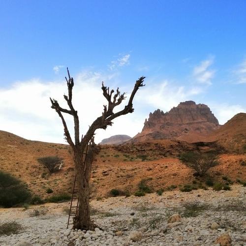 Photo #4572737