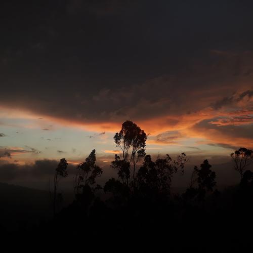 Photo #4572748