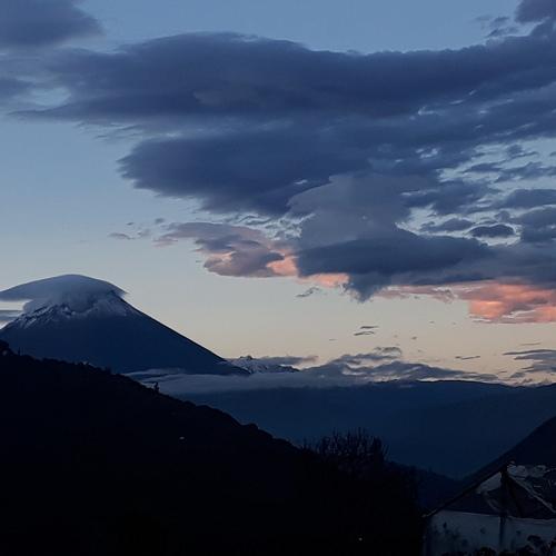 Photo #4572749