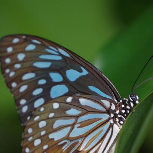 Photo #4572955