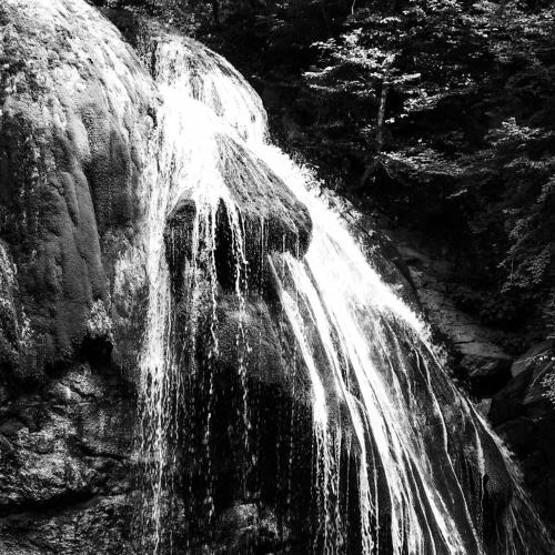 Photo #4573025