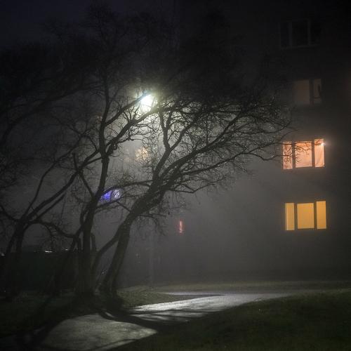 Photo #4573102
