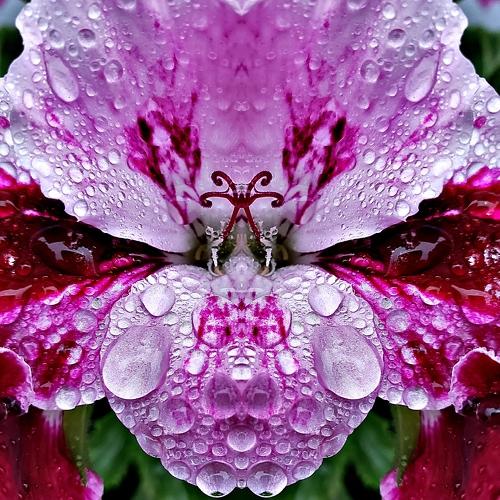 Photo #4573638