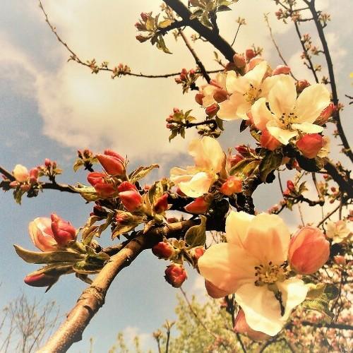 Photo #4573753