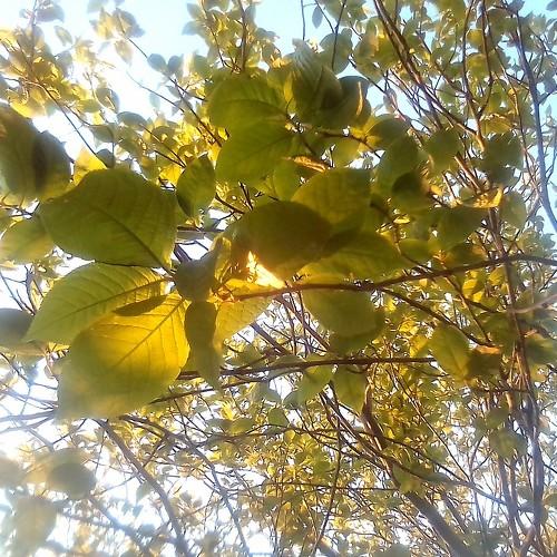 Photo #4573808