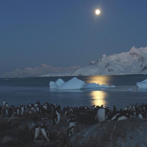 Photo #4574266