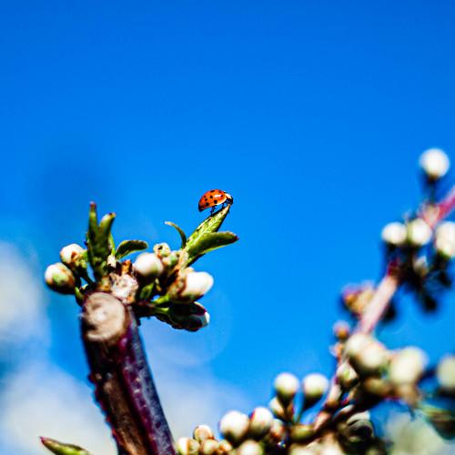 Photo #4574281