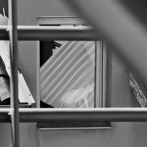 Life behind a window