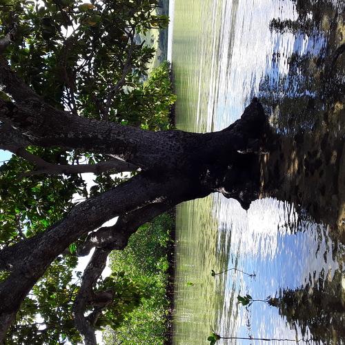 Photo #4574403