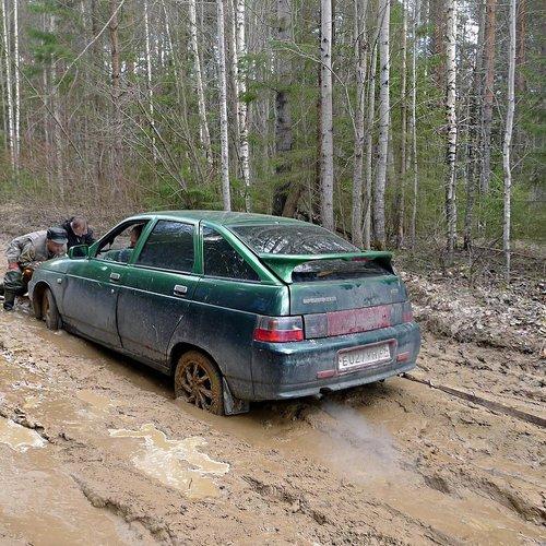 Photo #4574464