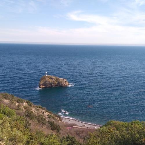 Photo #4574514