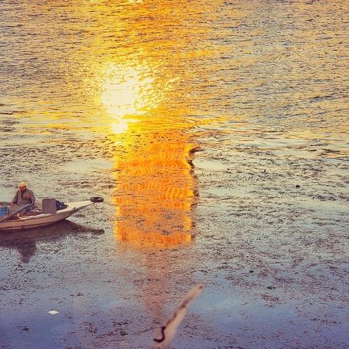Photo #4574581