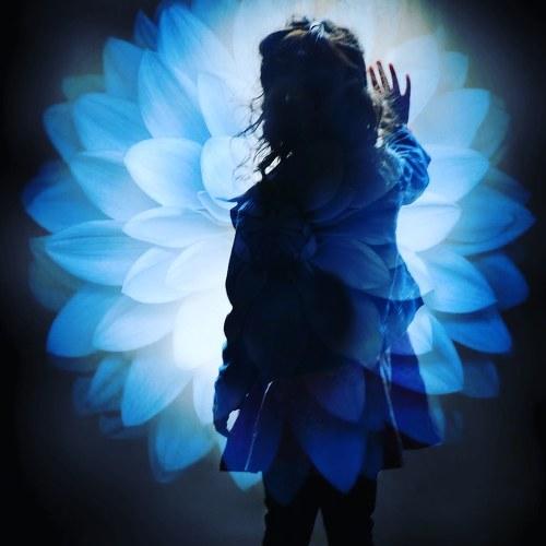 Photo #4574584