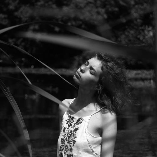 Photo #4574674