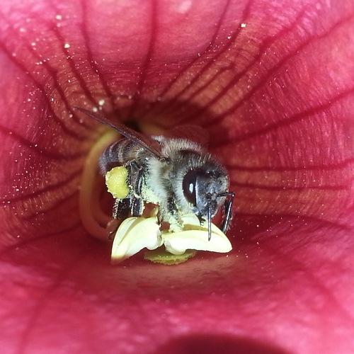 Photo #4574728