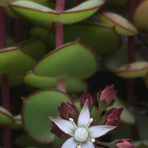 Photo #4574743