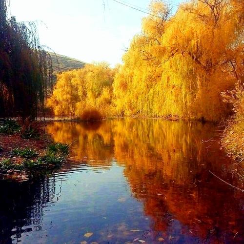 Photo #4575052