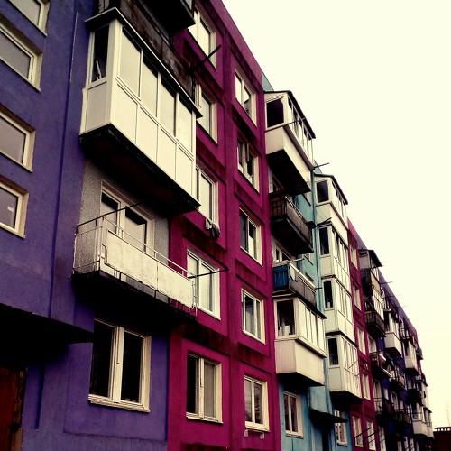 Photo #4575510