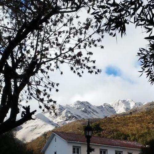 Photo #4575538