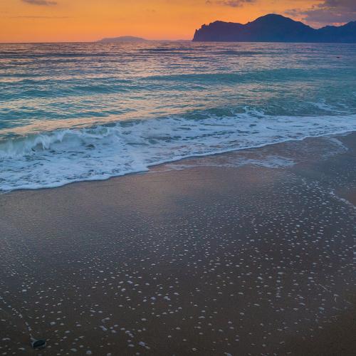 Photo #4575578