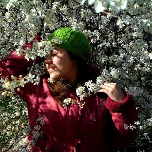 Photo #4575583