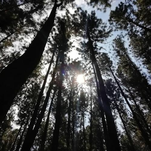 Photo #4575607