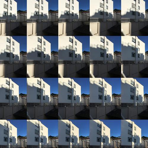 Photo #4575974