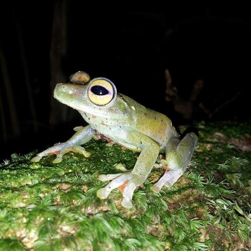 Photo #4575977