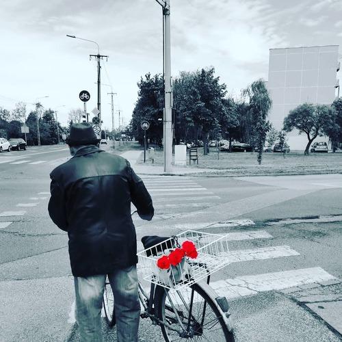 Photo #4576028