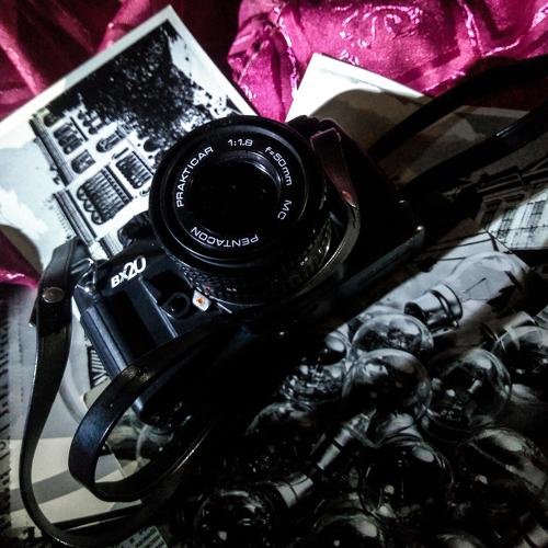 Photo #4576126