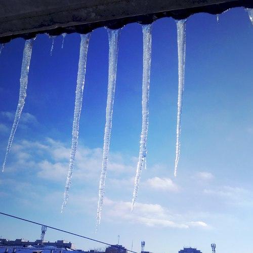 Photo #4576302