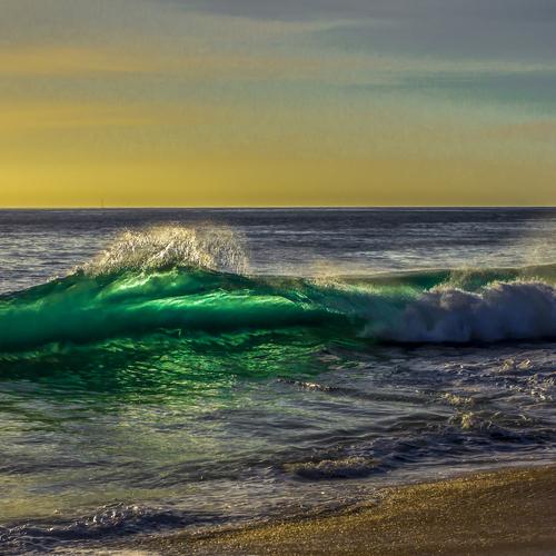 Photo #4576429