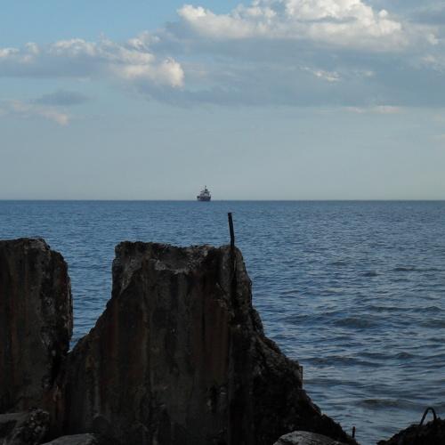Photo #4576761