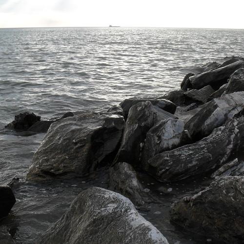 Photo #4576762