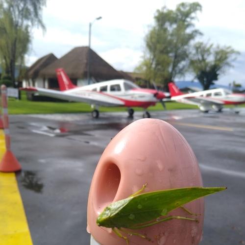Photo #4577182